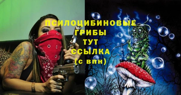 PSILOCYBIN Алексеевка