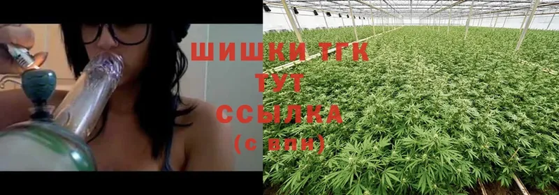 Марихуана THC 21%  OMG сайт  Бежецк 